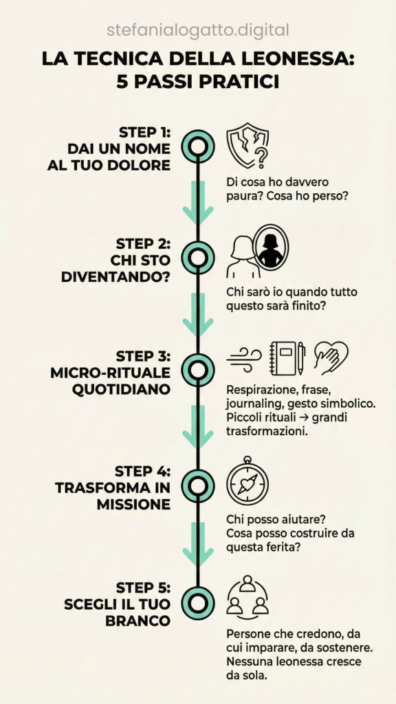 Tecnica della Leonessa di Stefania Lo Gatto - Infografica